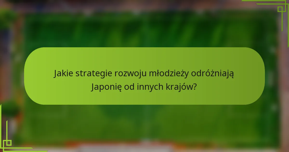 Jakie strategie rozwoju młodzieży odróżniają Japonię od innych krajów?